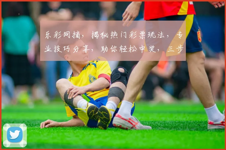 乐彩网摘，揭秘热门彩票玩法，专业技巧分享，助你轻松中奖，三步攻略，不容错过