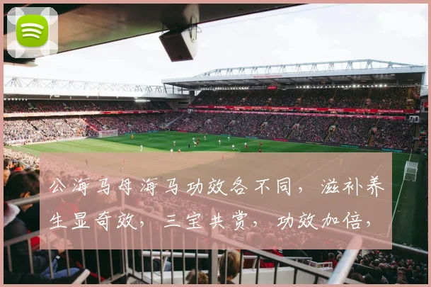 公海马母海马功效各不同，滋补养生显奇效，三宝共赏，功效加倍，养生首选。
